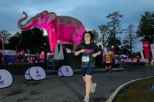 BIB: 
                            <button type="button" onclick="openModal(26529685)" class="btn btn-primary btn-sm float-right btn-popup" data-toggle="modal" data-target=".modal-high-quality">
                        <i class="fas fa-shopping-cart"></i> Add to Cart
                    </button>
                                            <button type="button" onclick="isThisMe(26529685, true)" class="btn btn-success btn-sm float-right btn-popup btn-isme hidden" data-toggle="tooltip" data-placement="bottom" title="นี่คือรูปของคุณใช่ไหม คลิกที่นี่เพื่อเอาเข้าอัลบั้ม">
                        <i class="fas fa-plus"></i> Add to album
                    </button>
                    <button type="button" onclick="isThisMe(26529685, false)" class="btn btn-warning btn-sm float-right btn-popup btn-isnotme hidden">
                        <i class="fas fa-ban"></i> Remove from album
                    </button>